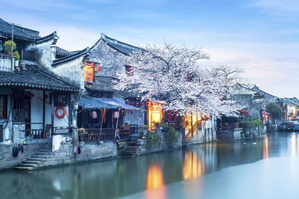 僵尸躲避战
